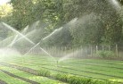 Curlewis NSWlandscaping-water-management-and-drainage-17.jpg; ?>
