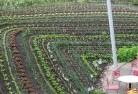 Curlewis NSWpermaculture-5.jpg; ?>